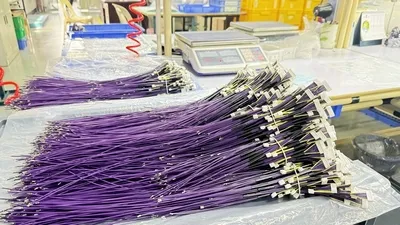 Organización de Conjuntos