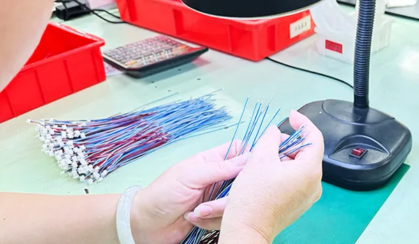 Opciones de Personalización