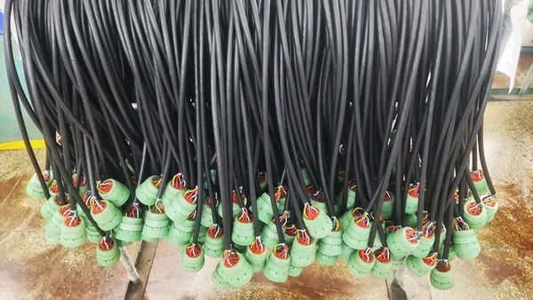 Conjunto de Cables Automotriz